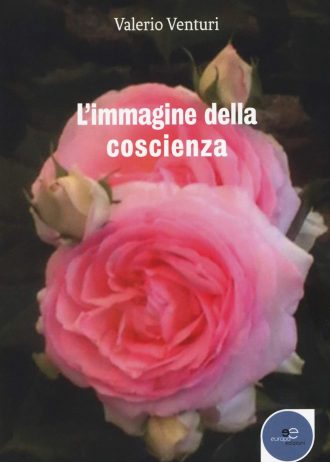 61IbiEspC4L._SL1500_