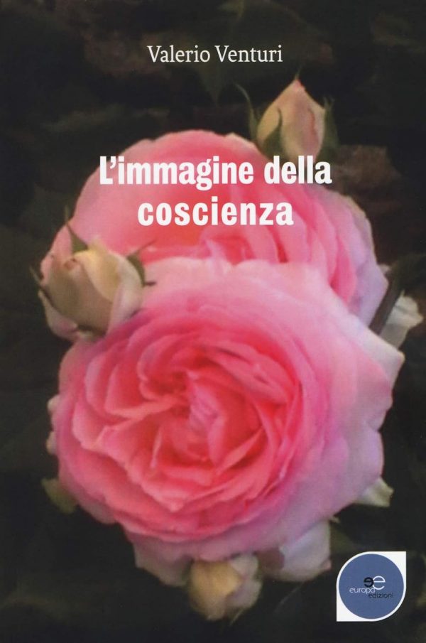 Copertina immagine della coscienza Valerio Venturi